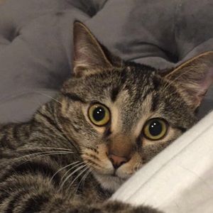 Meet your Posher, Hannah